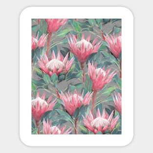 Painted King Proteas - pink on grey Sticker
